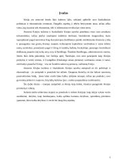 Dalykinis bendravimas Kinijoje 3 puslapis