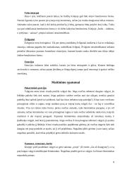 Dalykinis bendravimas Kinijoje 8 puslapis