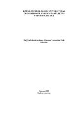 Dalykinis bendravimas organizacijoje: draudimo įmonė "Kosmas"