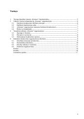 Dalykinis bendravimas organizacijoje: draudimo įmonė "Kosmas" 4 puslapis