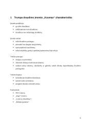 Dalykinis bendravimas organizacijoje: draudimo įmonė "Kosmas" 6 puslapis