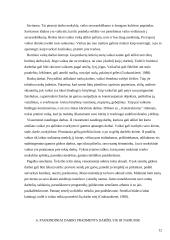 Darbinė veikla vaikystėje 12 puslapis