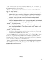 Darbinė veikla vaikystėje 15 puslapis