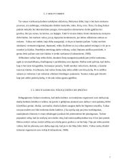 Darbinė veikla vaikystėje 7 puslapis