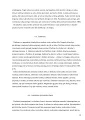 Darbinė veikla vaikystėje 10 puslapis