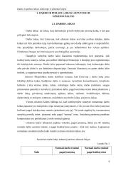 Darbo ir poilsio laikas Lietuvoje ir užsienyje 4 puslapis