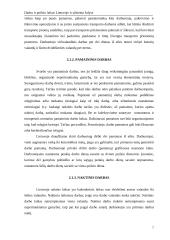 Darbo ir poilsio laikas Lietuvoje ir užsienyje 7 puslapis