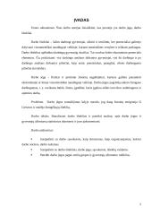 Darbo išteklių panaudojimas 2 puslapis