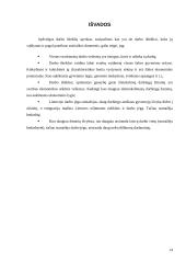 Darbo išteklių panaudojimas 14 puslapis