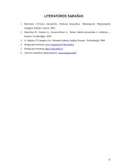 Darbo išteklių panaudojimas 15 puslapis