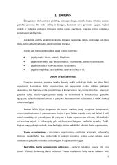 Darbo išteklių panaudojimas 3 puslapis