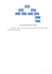 Darbo išteklių panaudojimas 6 puslapis