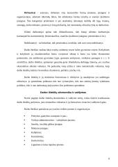 Darbo išteklių panaudojimas 8 puslapis