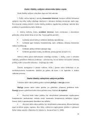 Darbo išteklių panaudojimas 10 puslapis