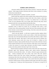 Darbo laiko režimas ir apskaita. Poilsio laikas ir poilsio laiko rūšys 5 puslapis