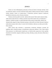 Darbo sutartys ir jų rūšys 3 puslapis