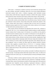 Darbo sutartys ir jų rūšys 4 puslapis