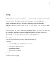 Dabartinės darbo teisės normos ir jų įgyvendinimo principai 2 puslapis