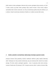 Dabartinės darbo teisės normos ir jų įgyvendinimo principai 17 puslapis