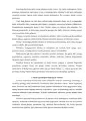 Darbo užmokesčio teisinis reguliavimas 4 puslapis