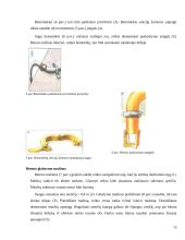Darbų sauga statyboje. Darbuotojų sauga ir sveiktata vykdant žemės darbus, betonavimo darbus, mūro darbus ir tinkavimo darbus 15 puslapis