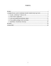 Darbuotojų laisvo judėjimo teisės turinys bei sąlygos pagal Europos Sąjungos teisę 2 puslapis