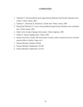 Darbuotojų laisvo judėjimo teisės turinys bei sąlygos pagal Europos Sąjungos teisę 20 puslapis