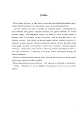 Diferencijuoto mokymo sistema 2 puslapis