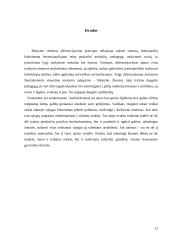 Diferencijuoto mokymo sistema 13 puslapis