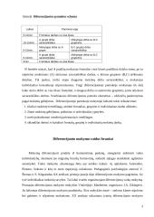 Diferencijuoto mokymo sistema 4 puslapis