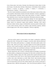 Diferencijuoto mokymo sistema 5 puslapis