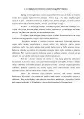 Diskriminacija 3 puslapis