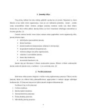 Dokumentacija įmonės steigimui 3 puslapis