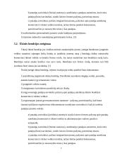 Dokumentacija įmonės steigimui 6 puslapis