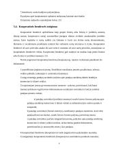 Dokumentacija įmonės steigimui 8 puslapis