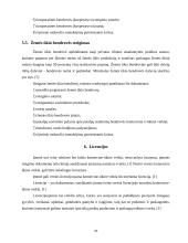 Dokumentacija įmonės steigimui 9 puslapis