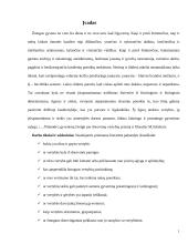 Dorovinių vertybių pobūdis