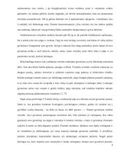 Dorovinių vertybių pobūdis 6 puslapis