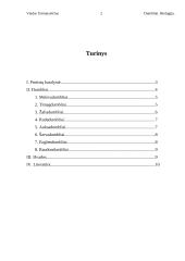 Dumblių karalystė 2 puslapis