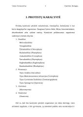 Dumblių karalystė 3 puslapis