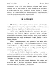 Dumblių karalystė 4 puslapis