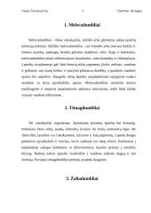 Dumblių karalystė 5 puslapis