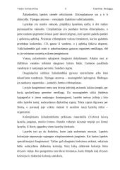 Dumblių karalystė 6 puslapis
