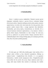 Dumblių karalystė 7 puslapis