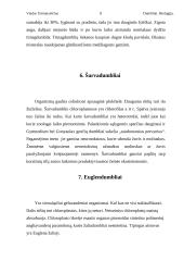 Dumblių karalystė 8 puslapis