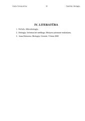 Dumblių karalystė 10 puslapis