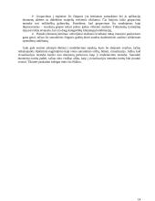 Duomenų suliejimas 14 puslapis