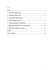 Durų asortimentas rinkoje 2 puslapis