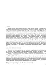 Kas tai yra elektroninė komercija? 2 puslapis