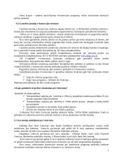 Kas tai yra elektroninė komercija? 6 puslapis